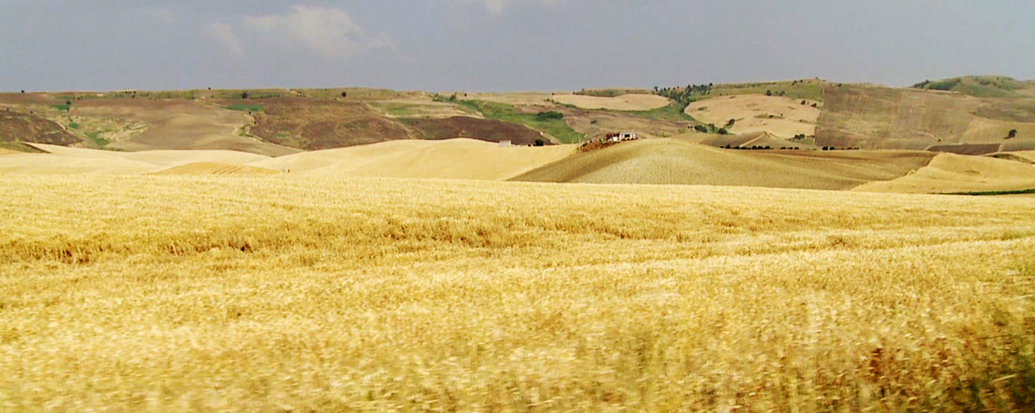 Murge, colline